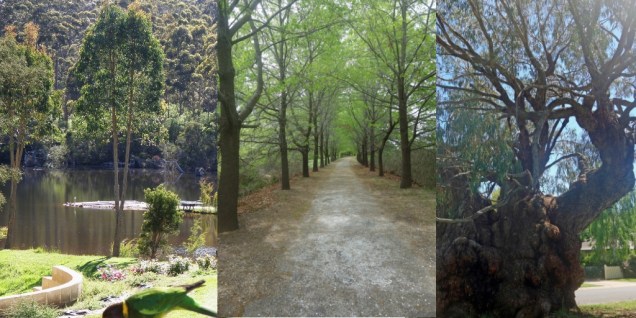 untitled design (11)