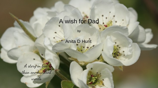 A wish for Dad (2)