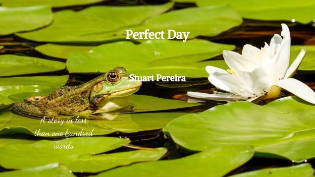 Perfect Day
