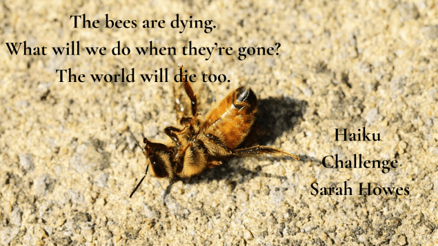 Haiku Challenge Sarah Howes