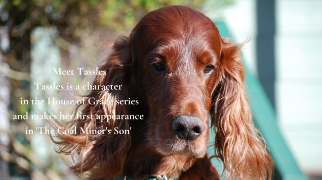 Meet Tassles Tassles is a character in the House of Grace series and makes her first appearance in The Coal Miner's Son