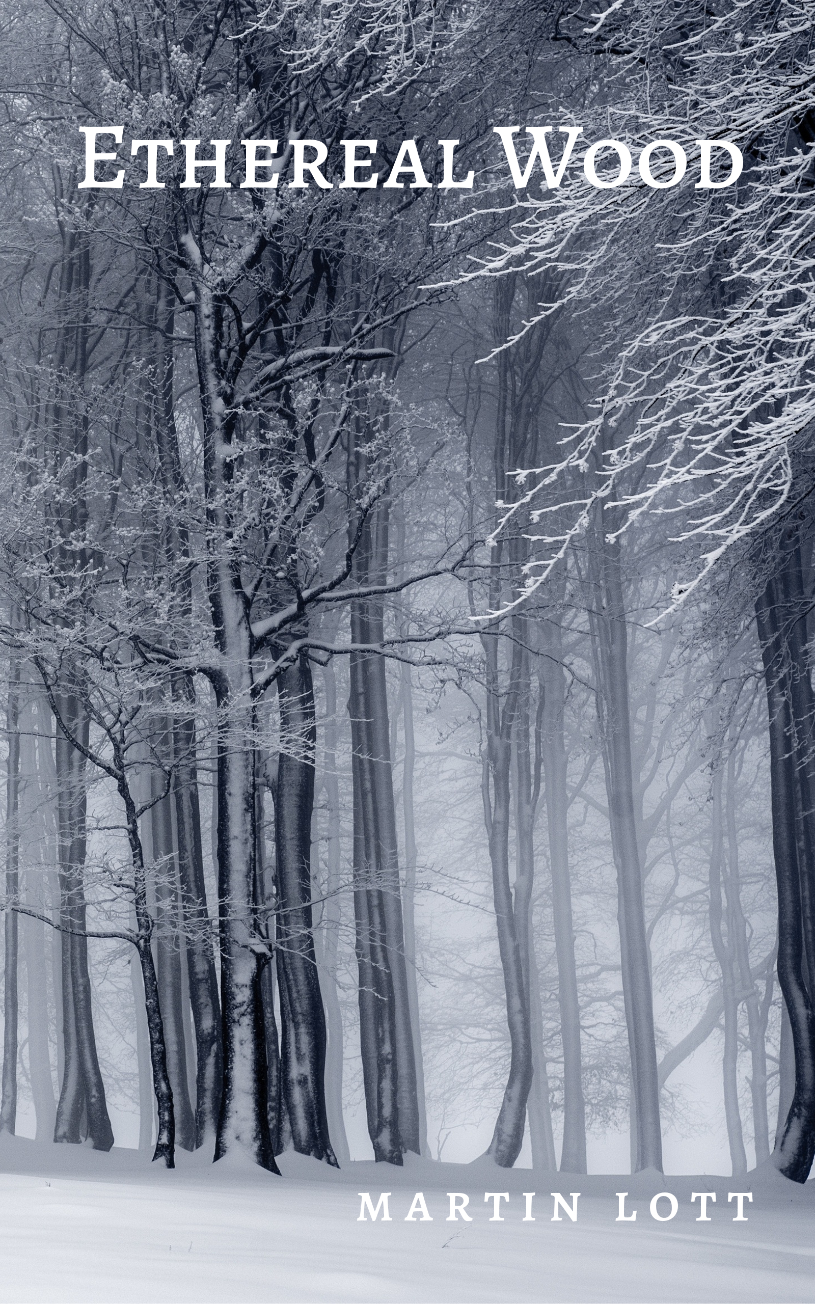 Ethereal_Wood_cover (002)