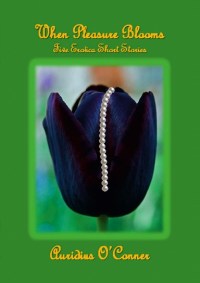 1nzevqyr-front-shortedge-384