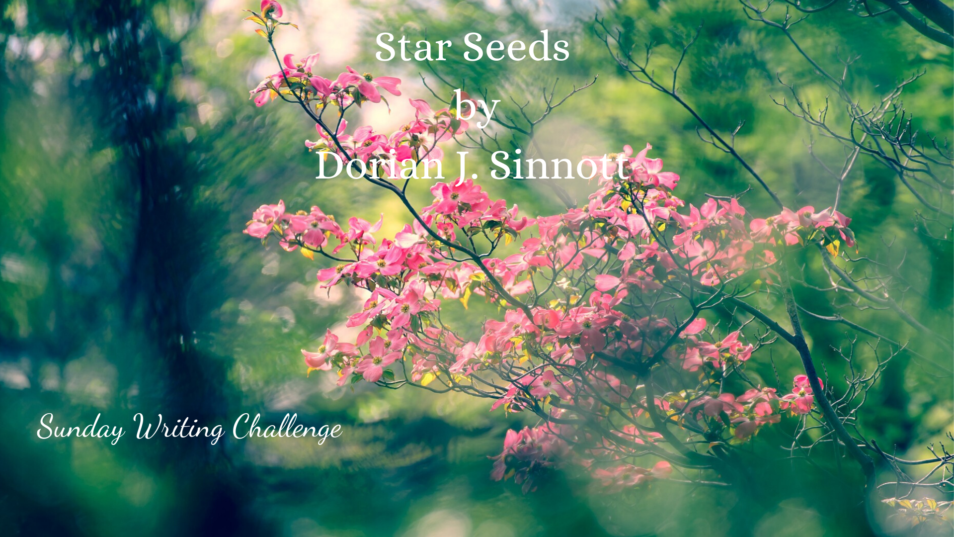 Star Seeds by Dorian J. Sinnott