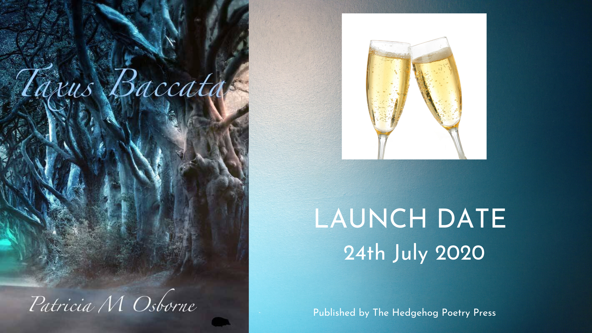 LAUNCH DATE 24th July 2020 (1)