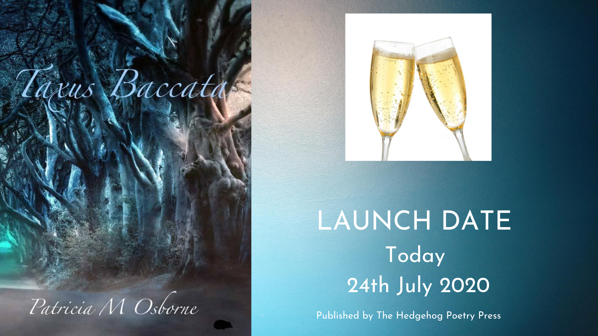 LAUNCH DATE today 24th July 2020 (2)