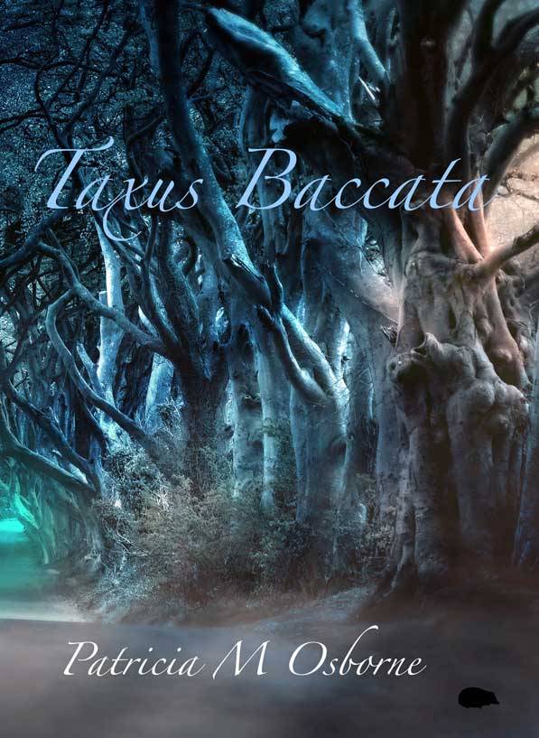 taxus-baccata-patricia-m-osborne-