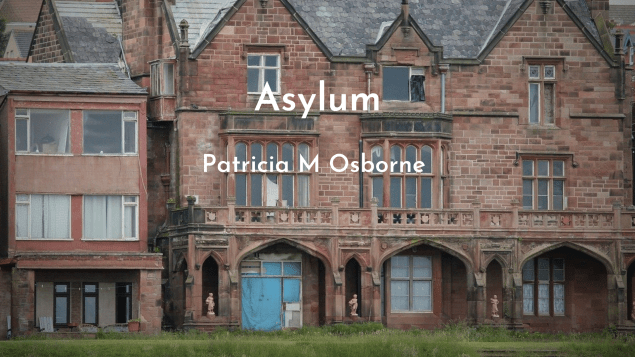 Asylum Patricia M Osborne